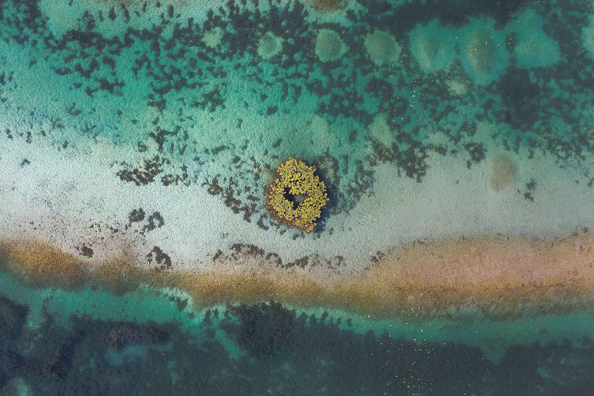 Vue en plongée d'une plage
