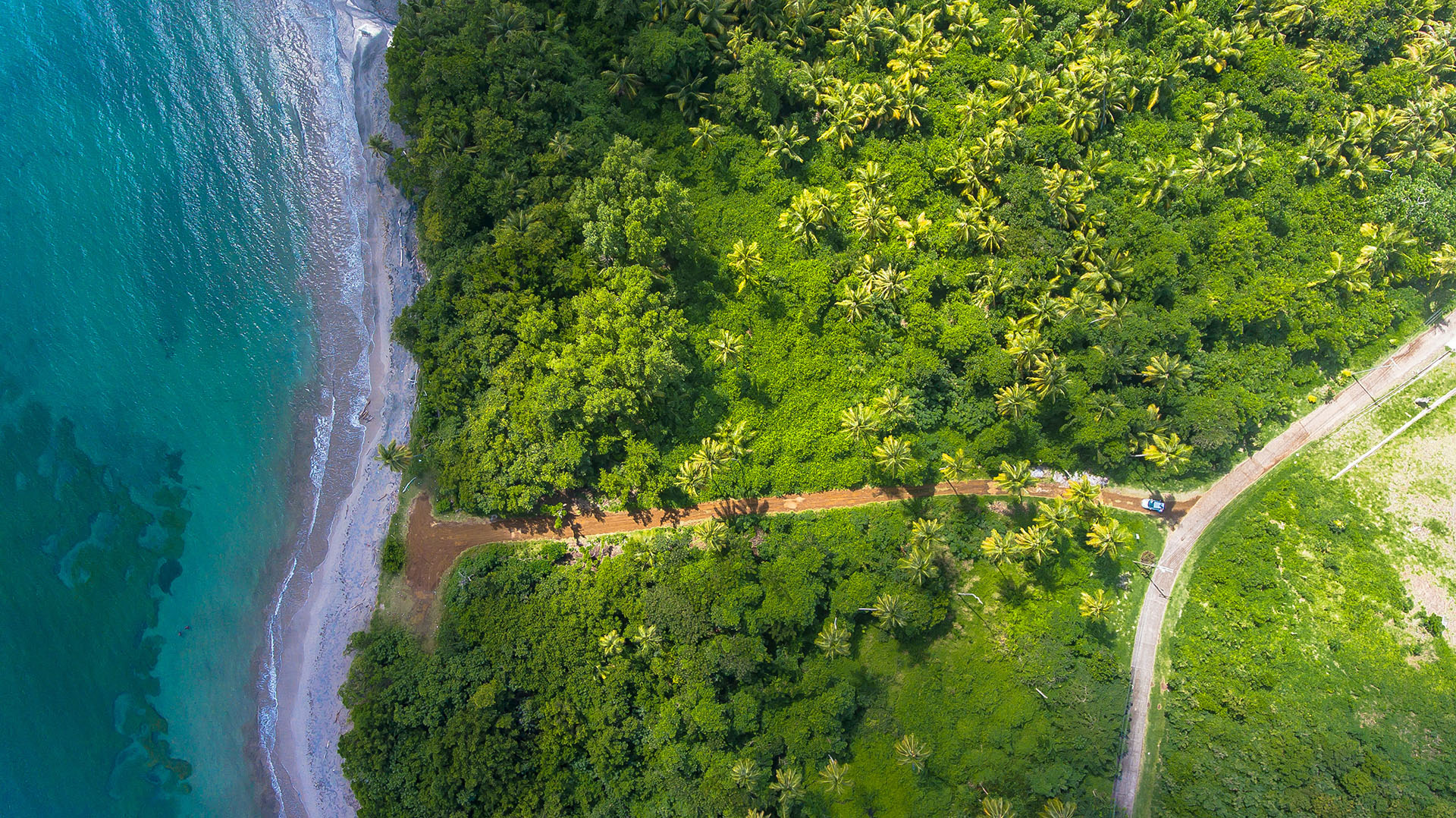 Vue aérienne d'une rivière traversant une forêt et se jetant dans la mer