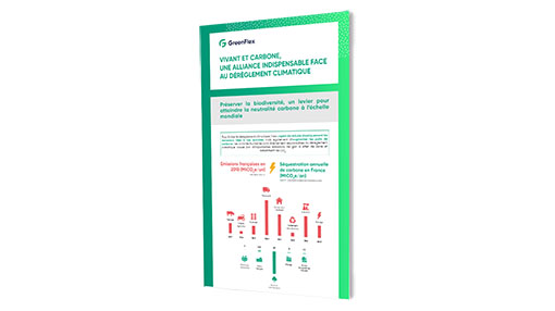 Illustration de l'infographie carbone et vivant