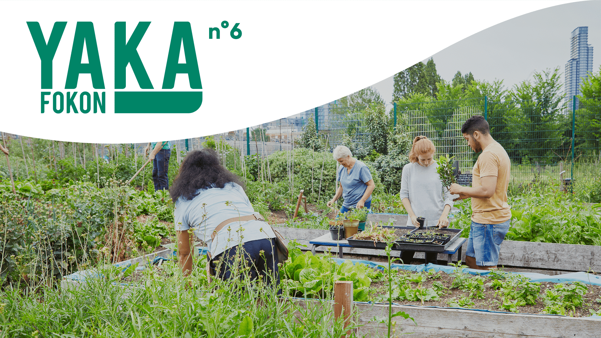 Miniature de l'article