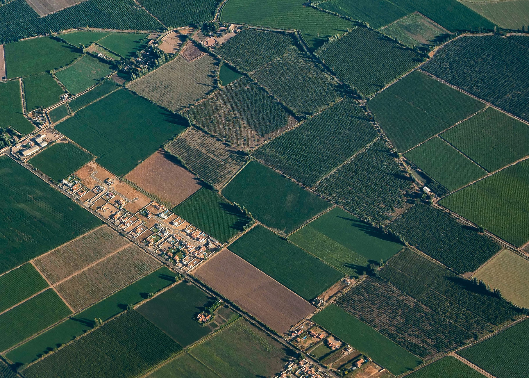 Vue aérienne de champs et de bâtiments