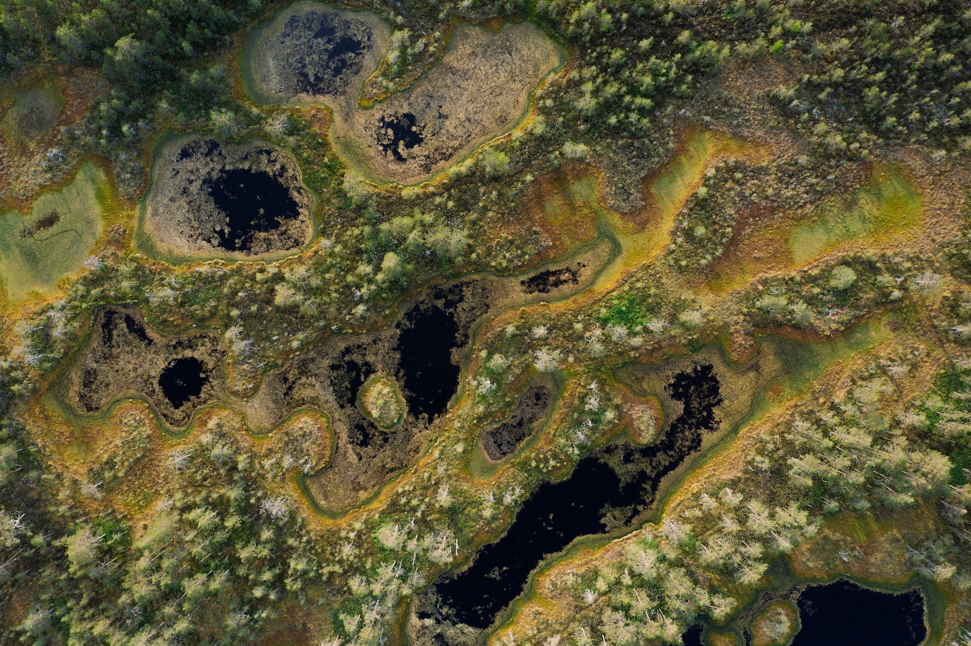 Vue aérienne d'une tourbière