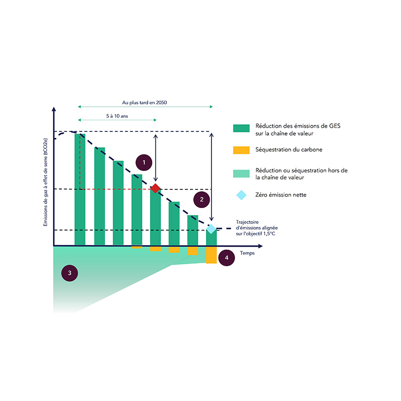 Graphique des étapes de la méthodologie SBT