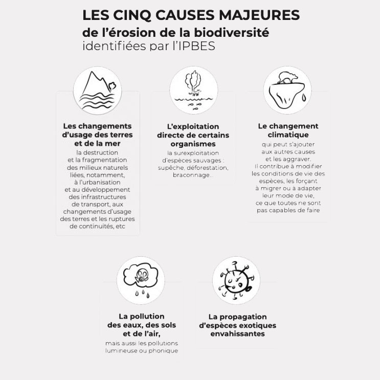 Les facteurs de pression sur la biodiversité