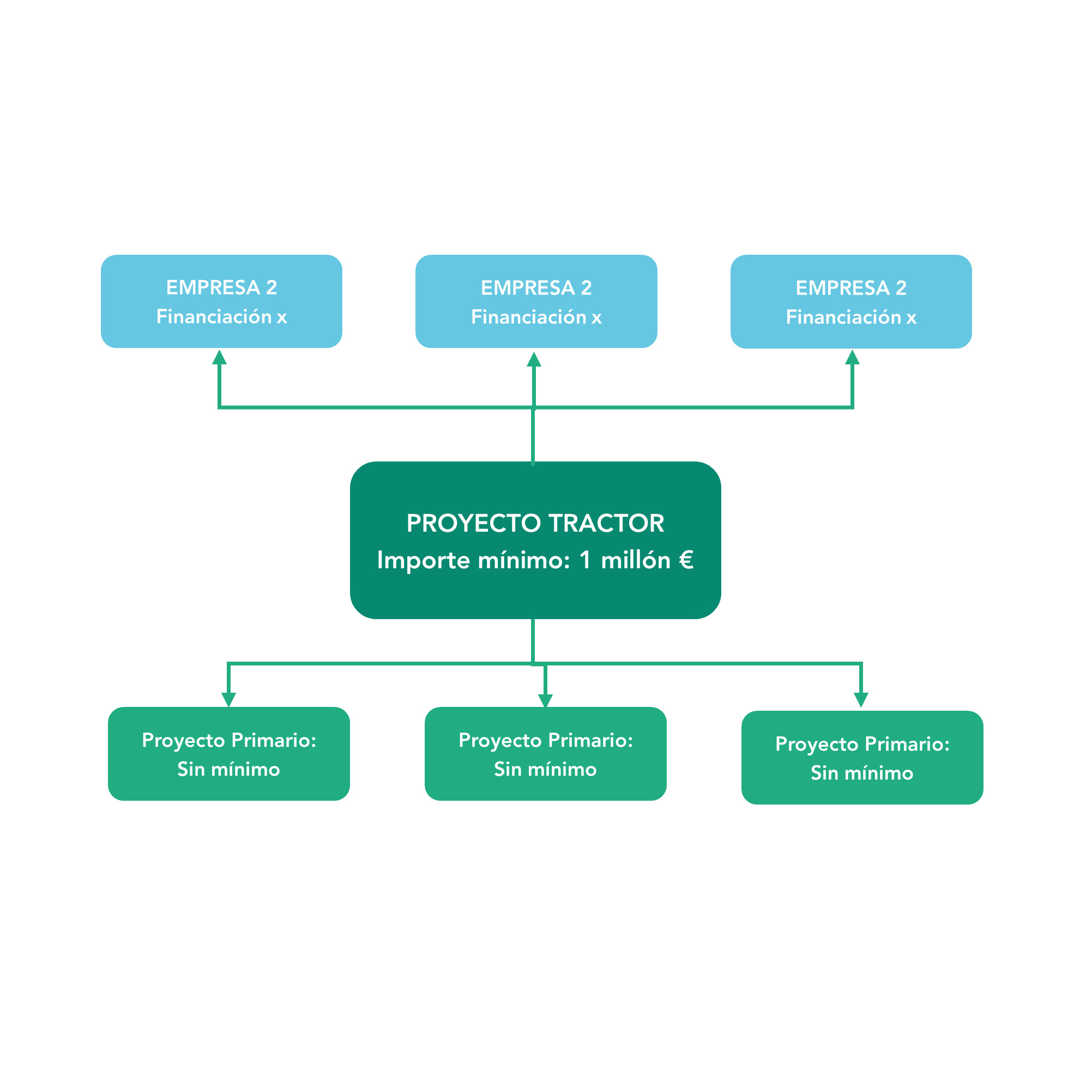 PERTE descarbonizacion