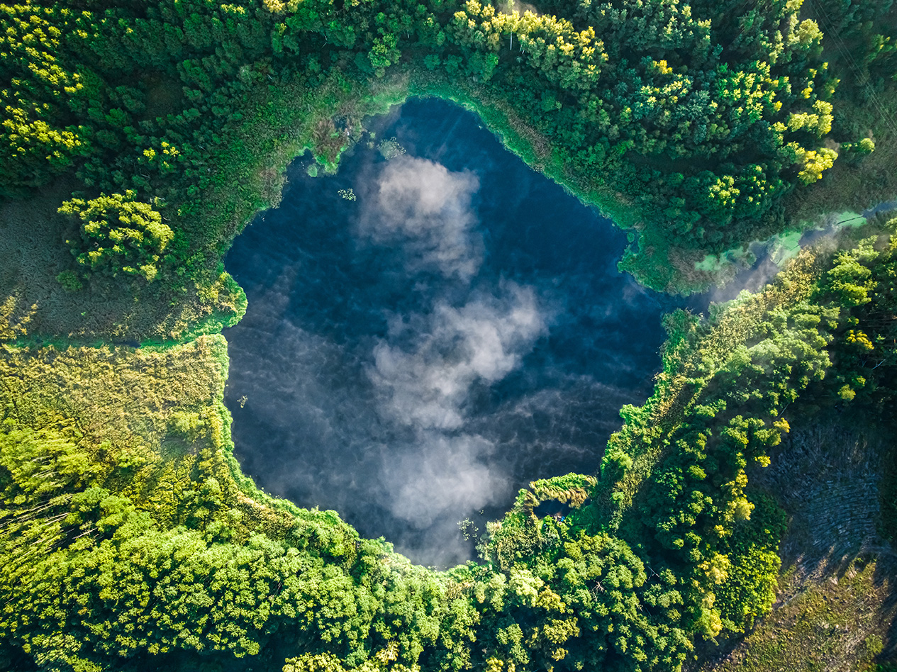 Vue aérienne d'un lac entouré d'arbres