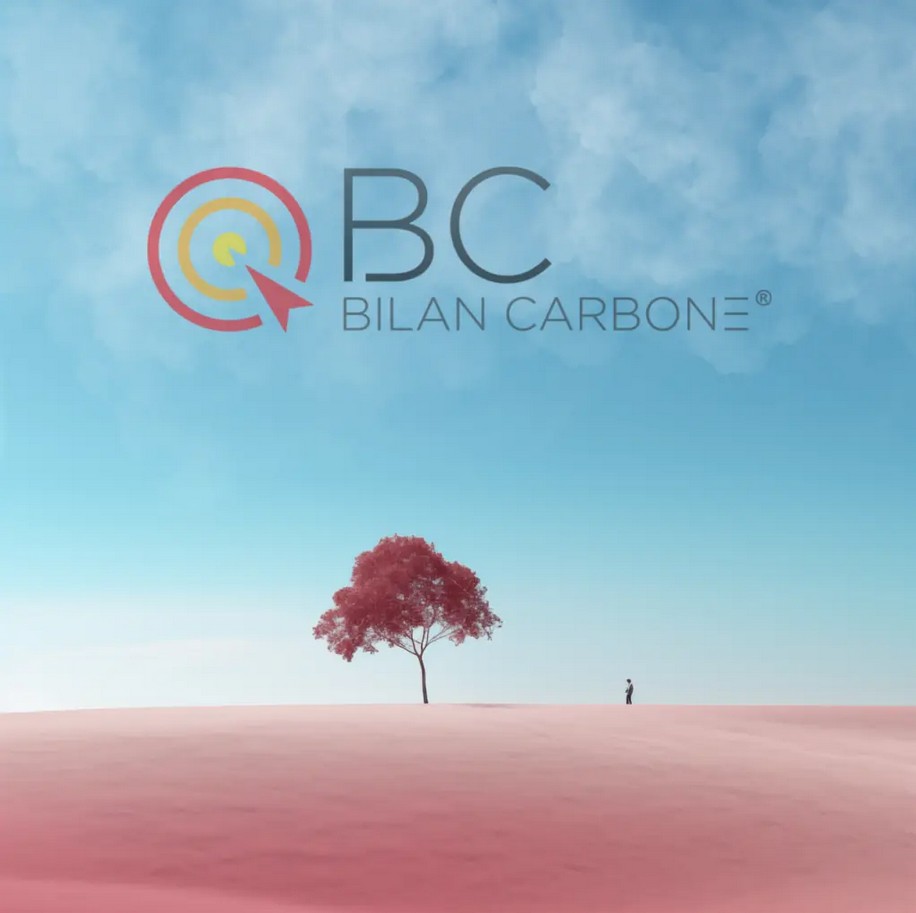 Logo Bilan Carbone au-dessus d'un arbre aux feuilles roses dans le désert