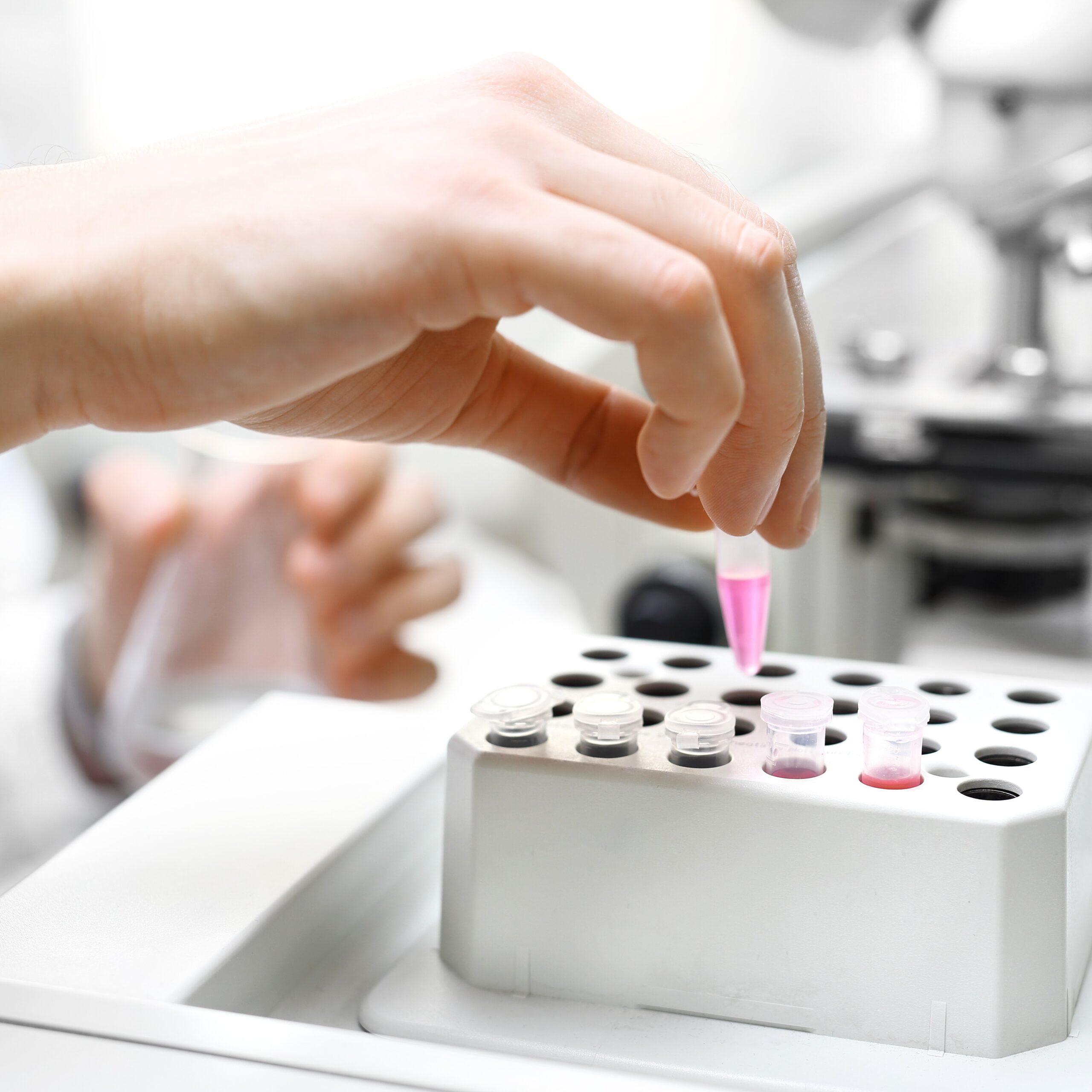 Mains d'une personne blanche qui pose une éprouvette dans un support