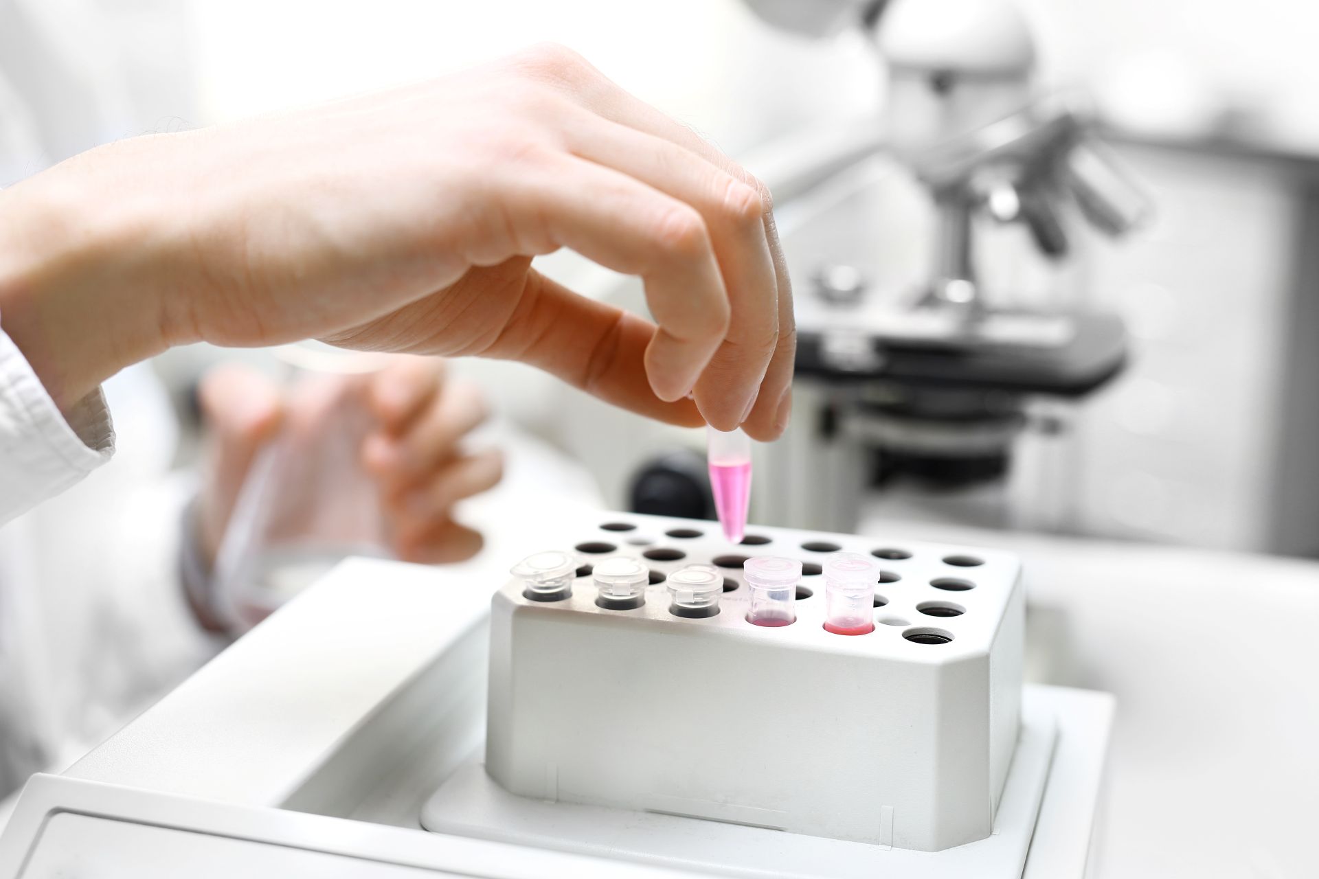 Mains d'une personne blanche qui pose une éprouvette dans un support